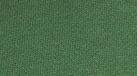 lululemon Align High-Rise 25" Pant with Pockets (Willow Leaf) thumbnail 3