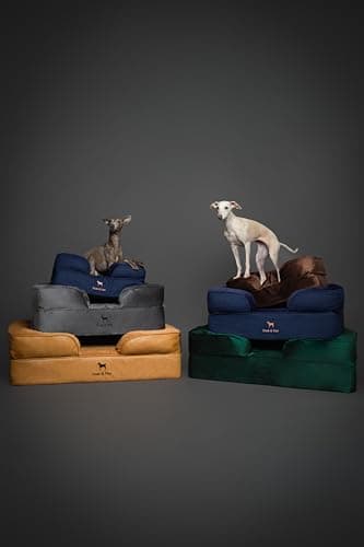 Cama Ortopédica XL NOAH & PAW para Perros con Gel Enfriador y Lavable