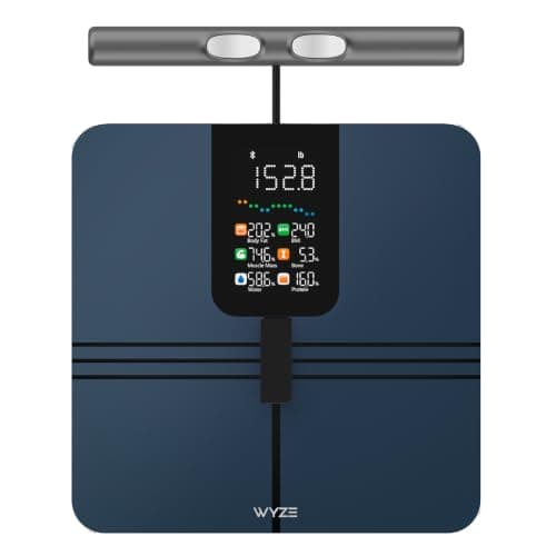 Báscula Inteligente Wyze BodyScan con Mango, Bluetooth, 400 lbs, Negro