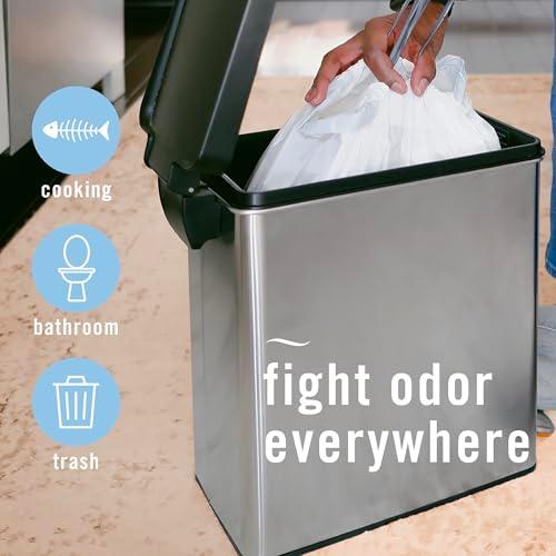 Febreze Air Mist Desodorante Ambiental Gain Original (2 Latas de 8.8oz)