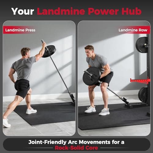FLYBIRD SR1 Rack de Sentadillas Multifuncional con Barra de Dominadas para Gym en Casa