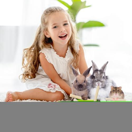 Sukh Sweet Bamboo Chew-Sticks - Natural Rabbit Bamboo Sticks Small Animal Chew Toy