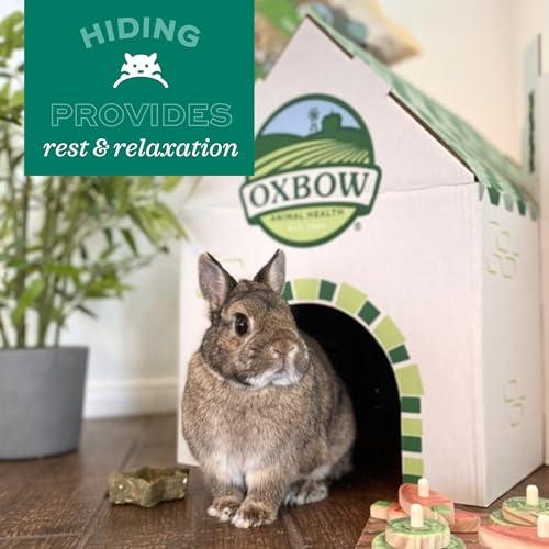 Oxbow Timothy Hay Tunnel, Guinea Pig Hideout, Rabbit & Bunny Tunnel, Edible & Hand-Woven Guinea Pig House, No Wires or String, Small Pet Accessories, for Rabbits, Chinchillas & Rat