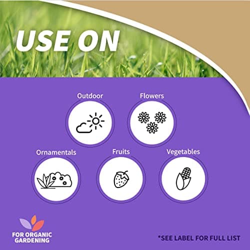 Bonide Captain Jack's Copper Fungicide, 32 oz Ready-to-Use Spray for Organic Gardening, Controls Common Diseases thumbnail 2