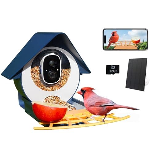 Comedero Inteligente Birdkiss con Cámara, IA y Panel Solar