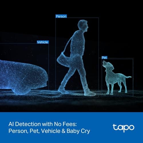 Tapo 2K Indoor/Outdoor Dual Lens Pan/Tilt Wired Security Camera - 125° Wide-Angle View + 6mm Zoom, Motion Track, Person/Vehicle Detection, Local Storage or Optional Cloud, C246D thumbnail 7