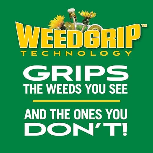Scotts Turf Builder Weed and Feed5 - Weed Killer Plus Lawn Fertilizer, Lawn Weed Killer, Controls Dandelion and Clover, Grass Fertilizer for Up to 4,000 sq. ft., 11.32 lb. thumbnail 4
