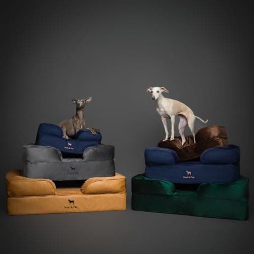 Cama Ortopédica XL NOAH & PAW para Perros con Gel Enfriador y Lavable
