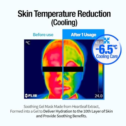 GOODAL Heartleaf Hyaluron Gel Mask, Cooling, Soothing, Sheet Mask with Hyaluronic Acid & Vegan Collagen, Overnight Hydrating Gel Essence for Pore & Skin Barrier Care [5EA] thumbnail 3