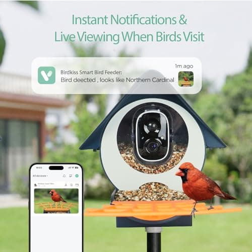 Comedero Inteligente Birdkiss con Cámara, IA y Panel Solar