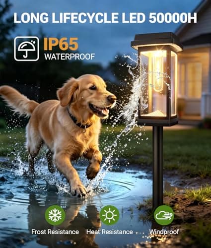 Miniatura de Luces Solares de Jardín y Camino TuyLuxe (8 Piezas) Mejoradas, IP65 8