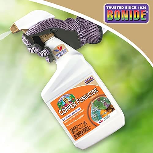 Bonide Captain Jack's Copper Fungicide, 32 oz Ready-to-Use Spray for Organic Gardening, Controls Common Diseases thumbnail 6