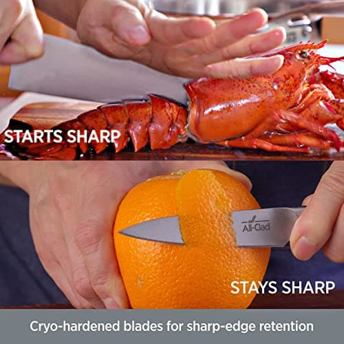 All-Clad Forged German Stainless Steel Chef's Knife, 8 inch | Fully Forged, Sharp and Cryo-hardened blades, Expert Precision with 26-degree cutting edge, Triple-riveted handle