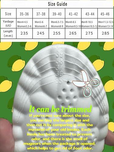 Insoles for Women man,Cloud Soles for Men Women,4D Cloud Soles for Men,Anti Fatigue, Shock Absorption, Foot Pain Relief (Gray, XL) thumbnail 2