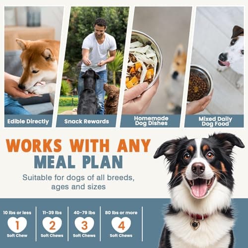 Miniatura de Vitaminas y Suplementos 24 en 1 para Perros (200 Masticables) - Soporte Integral: Piel, Articulaciones, Digestión, Inmunidad - Con Condroitina, Probióticos, Omega-3 y Glucosamina - Sabor Pollo 7