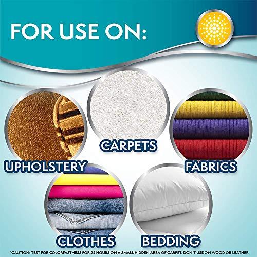 Simple Solution Urine Destroyer Enzymatic Cleaner | Pet Stain and Odor Remover with 2X Pro-bacteria Cleaning Power | 32 Ounces thumbnail 6