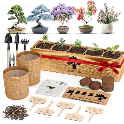 Bonsai Tree Kit - Christmas Gifts, Christmas Gifts for Women & Men, Christmas Gifts for Mom - Complete Beginner Bonsai Starter Kit with Tools & Seeds | Unique DIY Gift Set