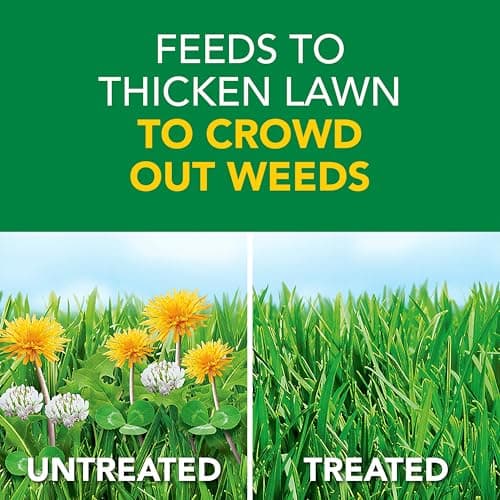 Scotts Turf Builder Weed and Feed5 - Weed Killer Plus Lawn Fertilizer, Lawn Weed Killer, Controls Dandelion and Clover, Grass Fertilizer for Up to 4,000 sq. ft., 11.32 lb. thumbnail 2
