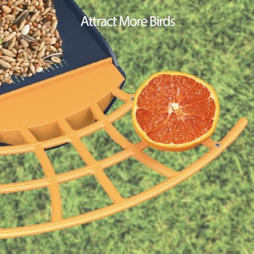 Comedero Inteligente Birdkiss con Cámara, IA y Panel Solar