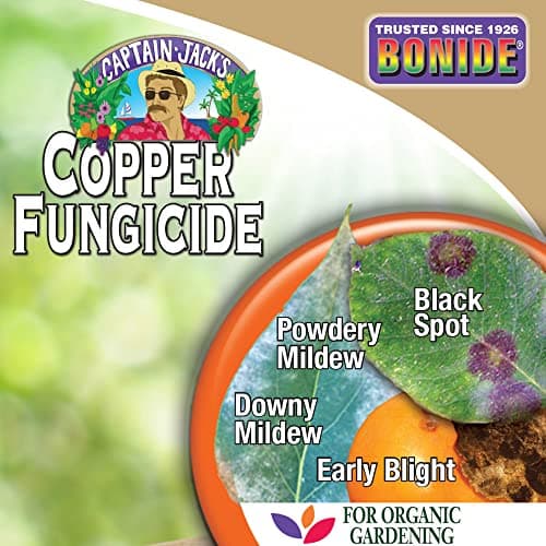 Bonide Captain Jack's Copper Fungicide, 32 oz Ready-to-Use Spray for Organic Gardening, Controls Common Diseases thumbnail 7