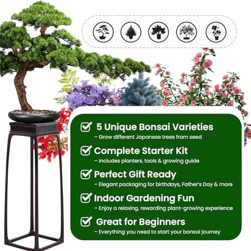 Bonsai Tree Kit - Christmas Gifts, Christmas Gifts for Women & Men, Christmas Gifts for Mom - Complete Beginner Bonsai Starter Kit with Tools & Seeds | Unique DIY Gift Set