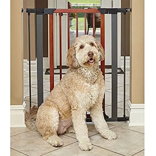 MidWest 39" Walk-Thru Dog Gate, Wooden Door | Steel Frame, Pressure Mounted, Expands 29.5"- 38" Wide, Auto-Close Door, Latch Closure, Includes Two 3" Extensions thumbnail 5