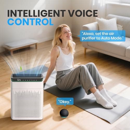 FLANUR Air Purifiers for Home Large Room Up to 1690 ft² Double-sided Air Inlet Smart WiFi Alexa Compatible PM 2.5 Air Quality Monitor for Smoke and Odor 23dB Quiet 1 Pack+2 Pack HE