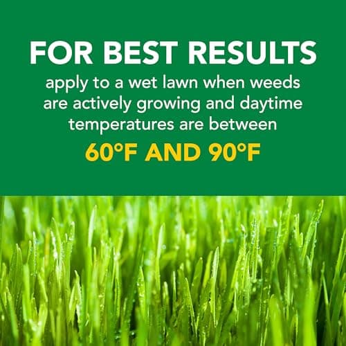 Scotts Turf Builder Weed and Feed5 - Weed Killer Plus Lawn Fertilizer, Lawn Weed Killer, Controls Dandelion and Clover, Grass Fertilizer for Up to 4,000 sq. ft., 11.32 lb. thumbnail 7