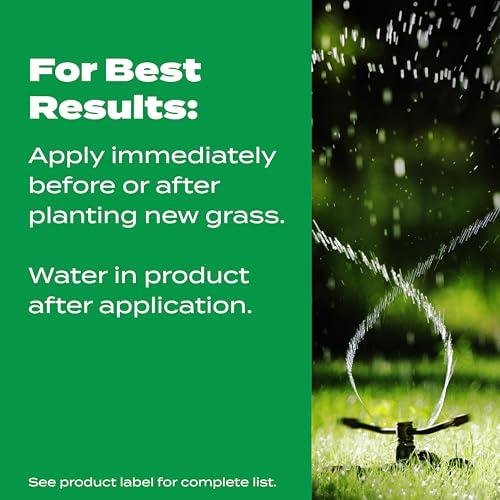 Scotts Turf Builder Starter Fertilizer for New Grass, Use When Planting Seed, 5,000 sq. ft., 15 lbs. thumbnail 6