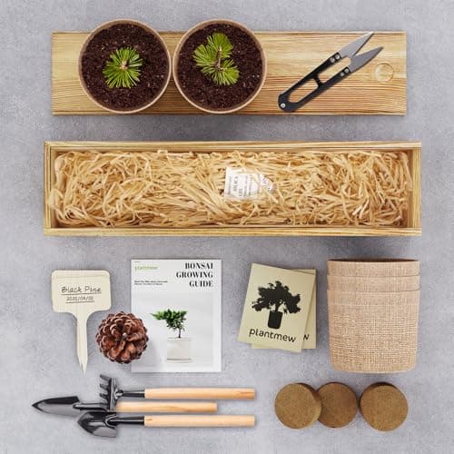 Bonsai Tree Kit - Christmas Gifts, Christmas Gifts for Women & Men, Christmas Gifts for Mom - Complete Beginner Bonsai Starter Kit with Tools & Seeds | Unique DIY Gift Set