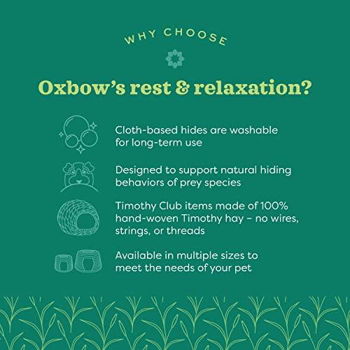 Oxbow Timothy Hay Tunnel, Guinea Pig Hideout, Rabbit & Bunny Tunnel, Edible & Hand-Woven Guinea Pig House, No Wires or String, Small Pet Accessories, for Rabbits, Chinchillas & Rat