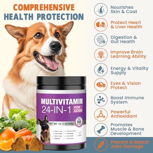 Miniatura de Vitaminas y Suplementos 24 en 1 para Perros (200 Masticables) - Soporte Integral: Piel, Articulaciones, Digestión, Inmunidad - Con Condroitina, Probióticos, Omega-3 y Glucosamina - Sabor Pollo 2