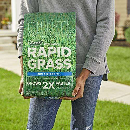 Scotts Rapid Grass Sol y Sombra - Semilla y Fertilizante 2 en 1 (5.6 lb)