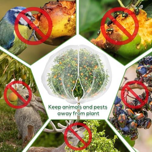 2PCS Large 7.8 x 7.8ft Fruit Tree Netting Cover with Zipper and Drawstring,Garden Insect Netting Plant Cover Transparent Bird Plant Barrier Flower Fruit Mesh Screen for Preventing  thumbnail 4