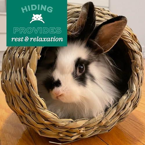Oxbow Timothy Hay Tunnel, Guinea Pig Hideout, Rabbit & Bunny Tunnel, Edible & Hand-Woven Guinea Pig House, No Wires or String, Small Pet Accessories, for Rabbits, Chinchillas & Rat