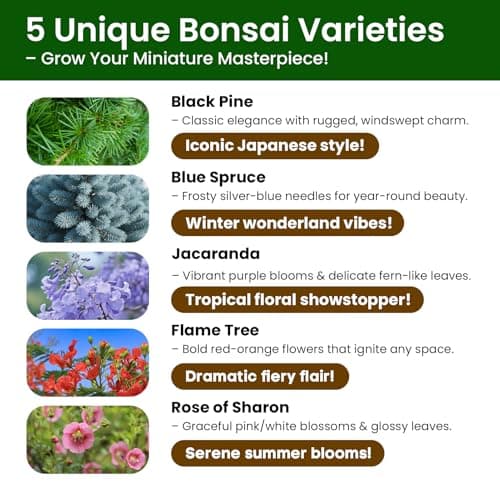 Bonsai Tree Kit - Christmas Gifts, Christmas Gifts for Women & Men, Christmas Gifts for Mom - Complete Beginner Bonsai Starter Kit with Tools & Seeds | Unique DIY Gift Set