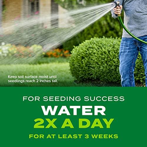 Scotts Rapid Grass Sol y Sombra - Semilla y Fertilizante 2 en 1 (5.6 lb)