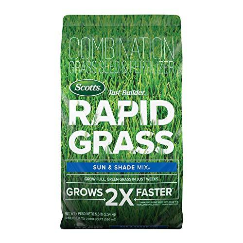 Scotts Rapid Grass Sol y Sombra - Semilla y Fertilizante 2 en 1 (5.6 lb)