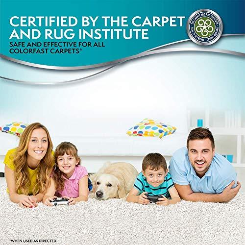 Simple Solution Urine Destroyer Enzymatic Cleaner | Pet Stain and Odor Remover with 2X Pro-bacteria Cleaning Power | 32 Ounces thumbnail 7