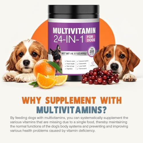Miniatura de Vitaminas y Suplementos 24 en 1 para Perros (200 Masticables) - Soporte Integral: Piel, Articulaciones, Digestión, Inmunidad - Con Condroitina, Probióticos, Omega-3 y Glucosamina - Sabor Pollo 4