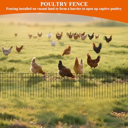 Garden Border Edging Fences, 12.32"*16.81" Decorative Fence Panel, Small Garden Fence Animal Barrier, No Dig Fences Barrier, Square 6 Pcs Black Metal Fencing, Dog Fencing Blocker f thumbnail 7