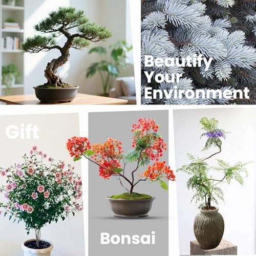 Bonsai Tree Kit - Christmas Gifts, Christmas Gifts for Women & Men, Christmas Gifts for Mom - Complete Beginner Bonsai Starter Kit with Tools & Seeds | Unique DIY Gift Set