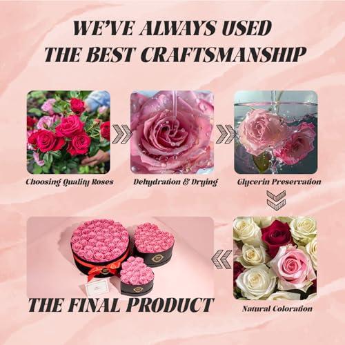 Otuo: 16 Rosas Preservadas Rojas en Caja de Corazón - ¡Duran hasta 2 Años!