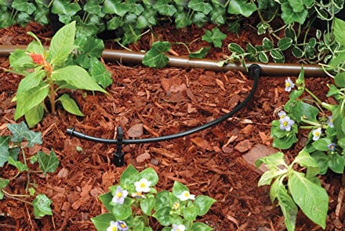 Rain Bird T22-250S Drip Irrigation 1/4" Blank Distribution Tubing, 250' Roll, Black thumbnail 3