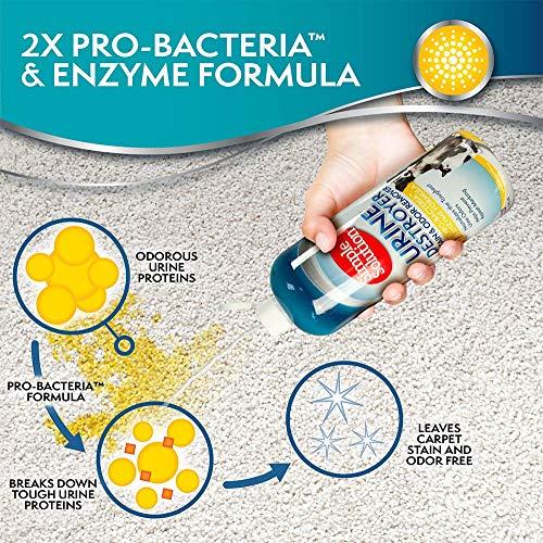 Simple Solution Urine Destroyer Enzymatic Cleaner | Pet Stain and Odor Remover with 2X Pro-bacteria Cleaning Power | 32 Ounces thumbnail 3