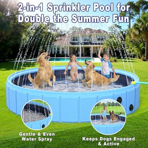 Piscina Plegable BerrysParadise Extra Grande con Rociador para Perros y Niños, 2 en 1 Antideslizante