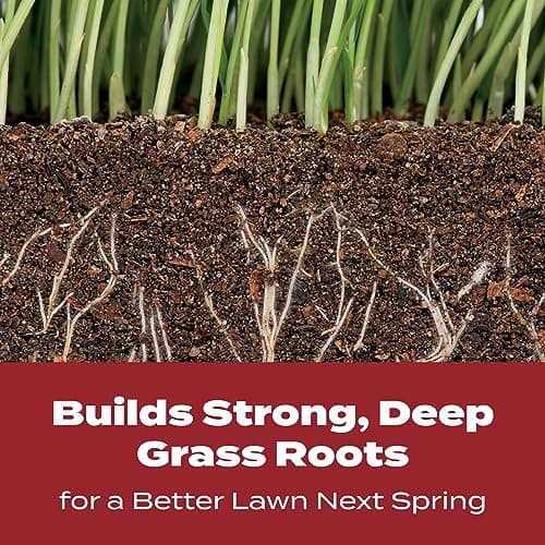 (S&S) Scotts Turf Builder WinterGuard Fall Lawn Food, 10 lbs. | Lawn Fertilizer for All Grass Types, Covers 4,000 sq. ft., Autumn Lawn Care