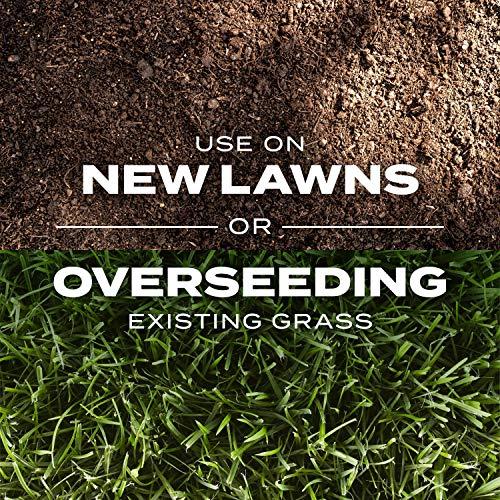 Scotts Rapid Grass Sol y Sombra - Semilla y Fertilizante 2 en 1 (5.6 lb)