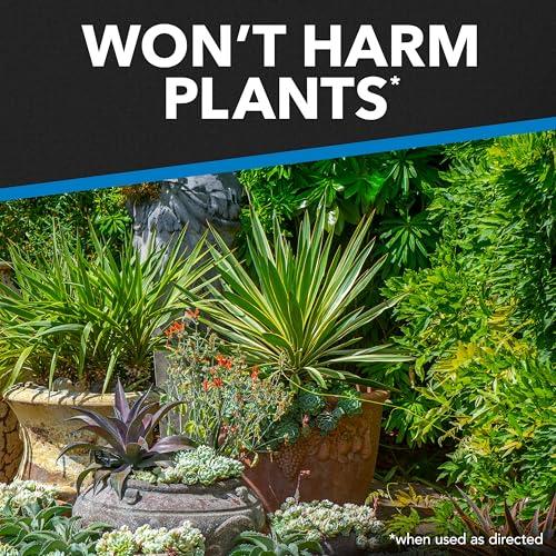 Raid Flying Insect Spray, Outdoor Fresh Scent, Kills Flies, Mosquitoes, and Other Flying Insects on Contact, for Indoor and Outdoor Use, 18oz thumbnail 6