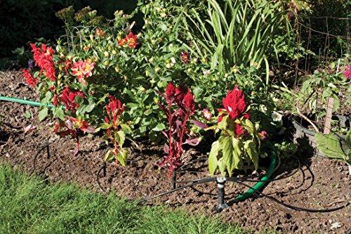 Miniatura de Rain Bird SWDMSPKIT: Kit de Riego por Goteo Localizado con Estaca y Emisores 5